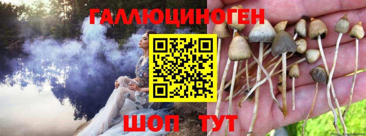 Псилоцибиновые грибы Magic Shrooms Ликино-Дулёво